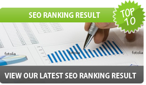 SEO Ranking Results