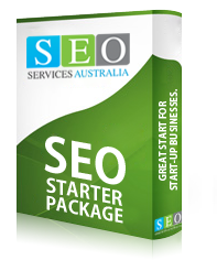 seo starter